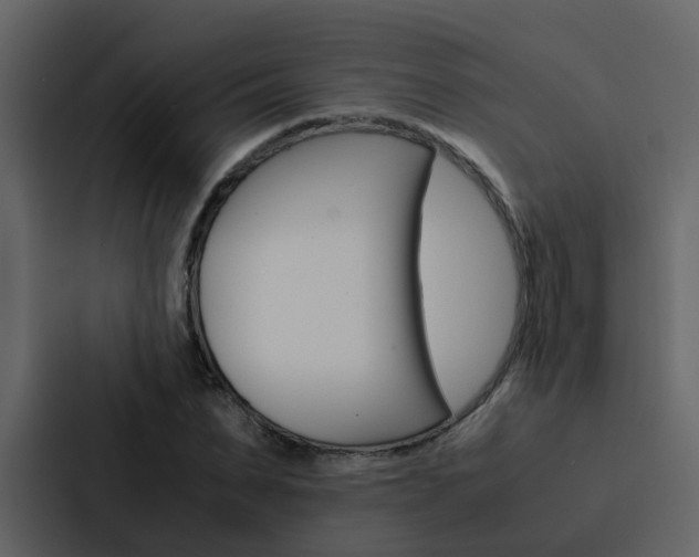 X0000088150879200705141049