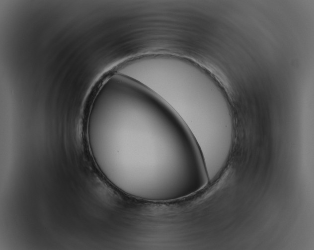 X0000088150880200705141049