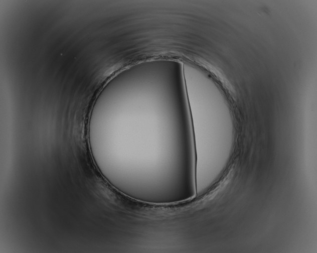 X0000088150881200705141049
