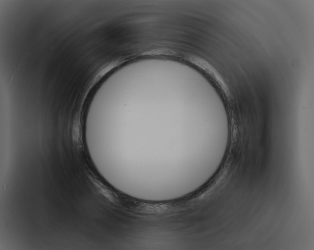 X0000088150882200705141049
