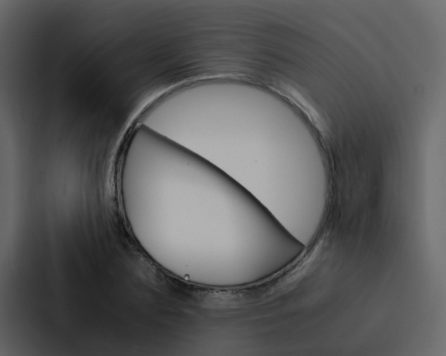 X0000088150883200705141049