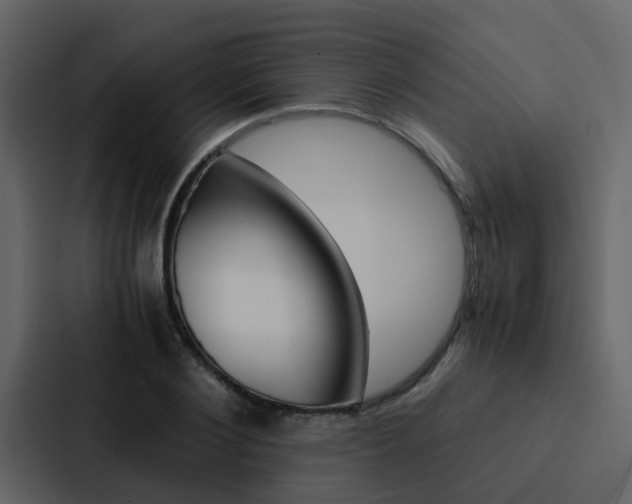 X0000088150884200705141049