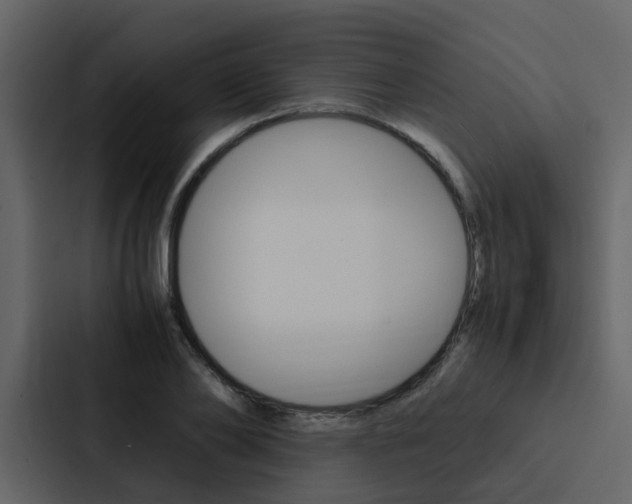 X0000088150886200705141049
