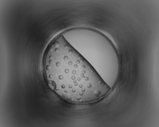 X0000088150887200705141049
