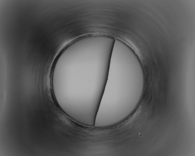 X0000088150891200705141049