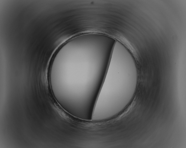 X0000088150892200705141049