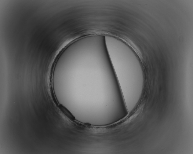 X0000088150893200705141049