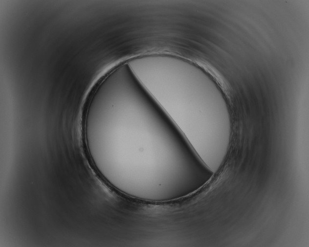 X0000088150894200705141049