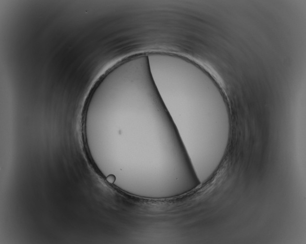 X0000088150895200705141049