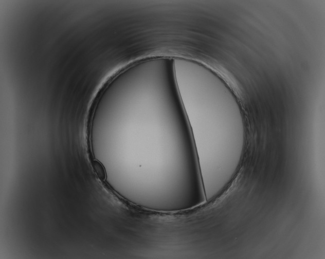 X0000088150896200705141049