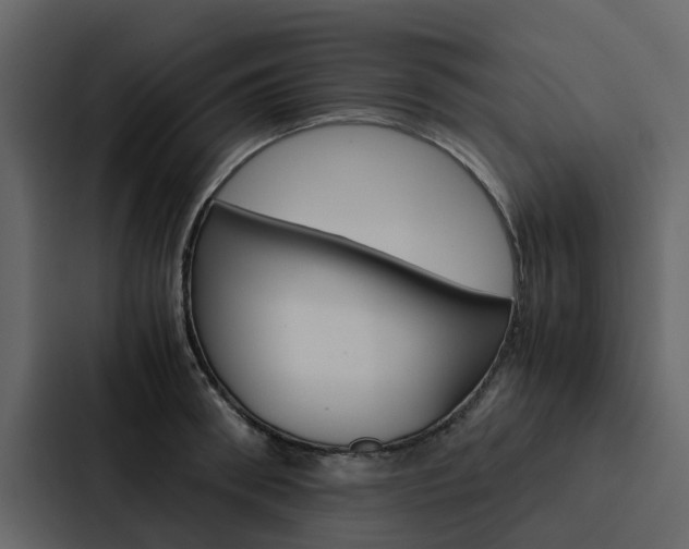 X0000088150898200705141049