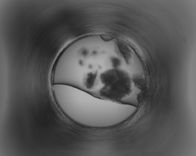 X0000088150899200705141049