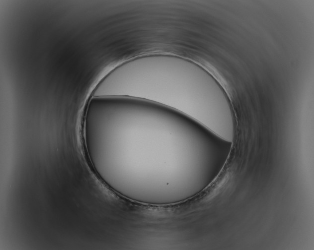 X0000088150901200705141049