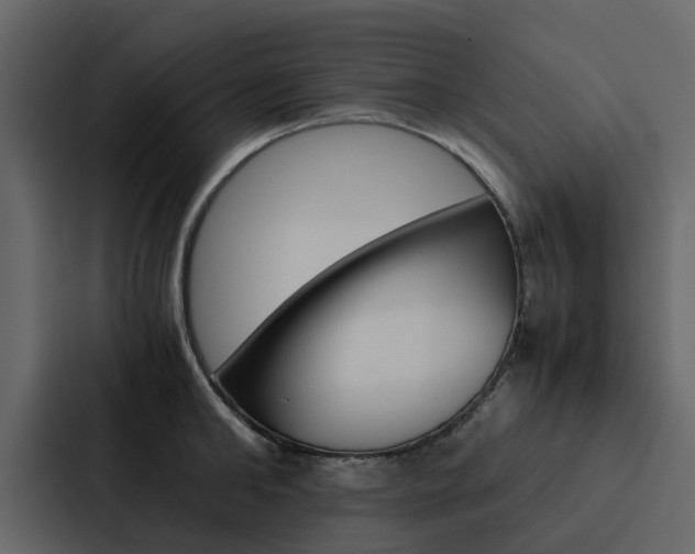 X0000088150902200705141049