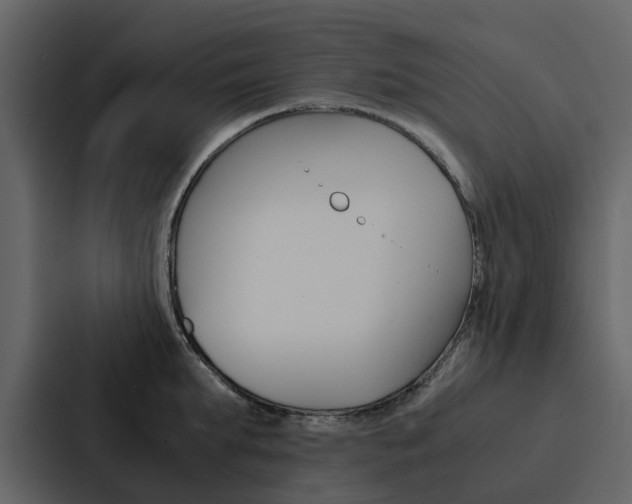 X0000088150903200705141049