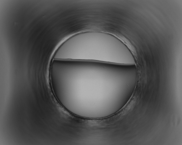 X0000088150904200705141049