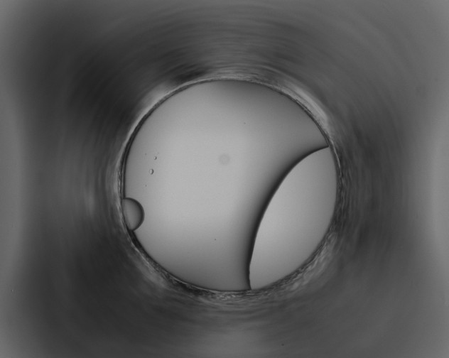 X0000088150907200705141049