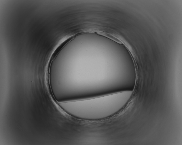 X0000088150909200705141049
