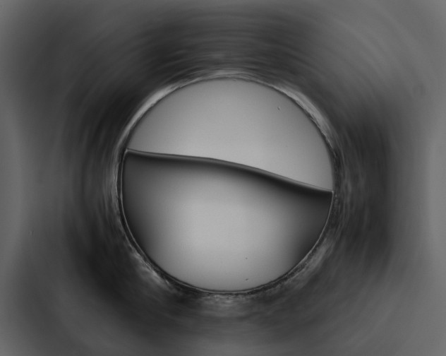 X0000088150910200705141049