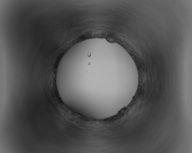 X0000088150914200705141048