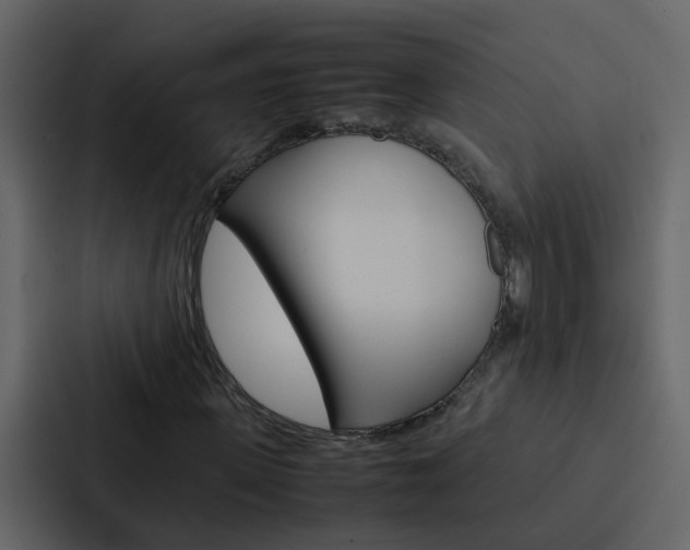 X0000088150915200705141048