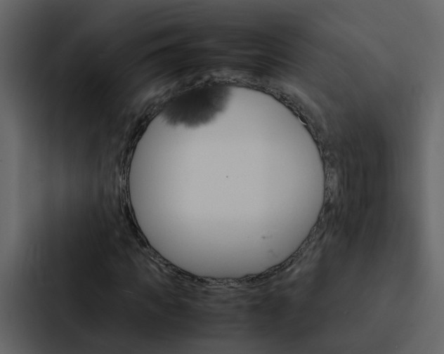 X0000088150917200705141048