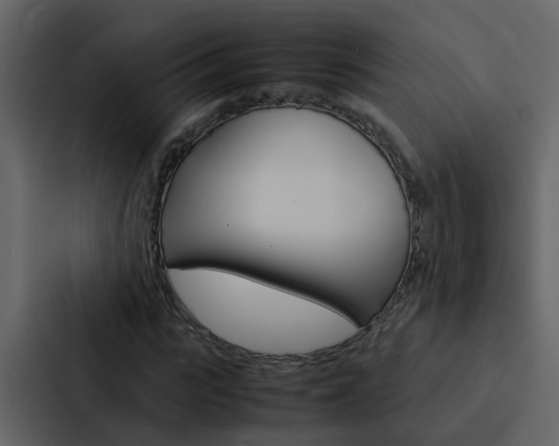 X0000088150919200705141048