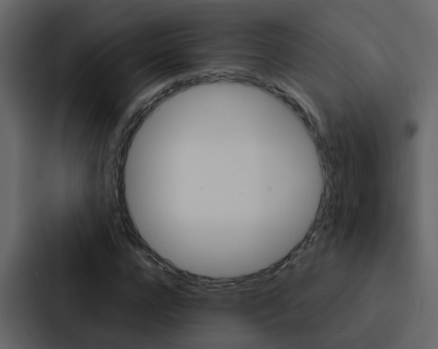 X0000088150920200705141048