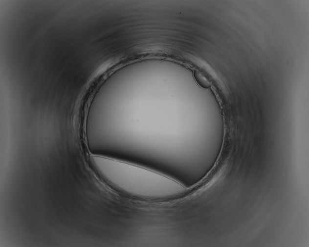 X0000088150922200705141048