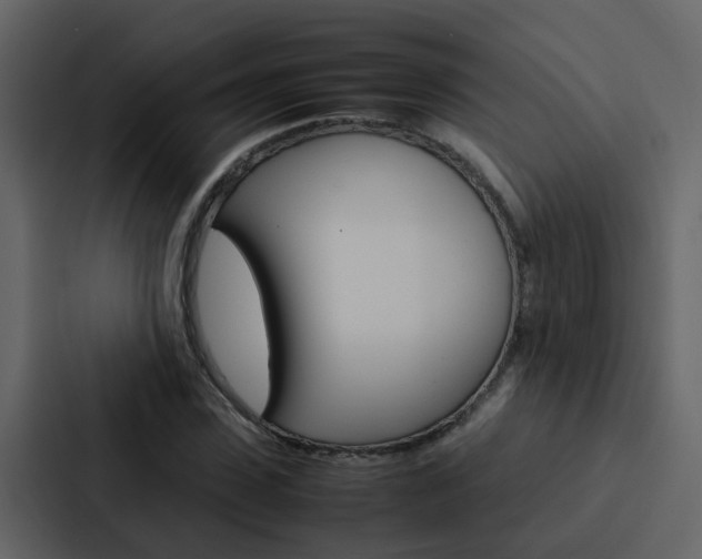 X0000088150923200705141048