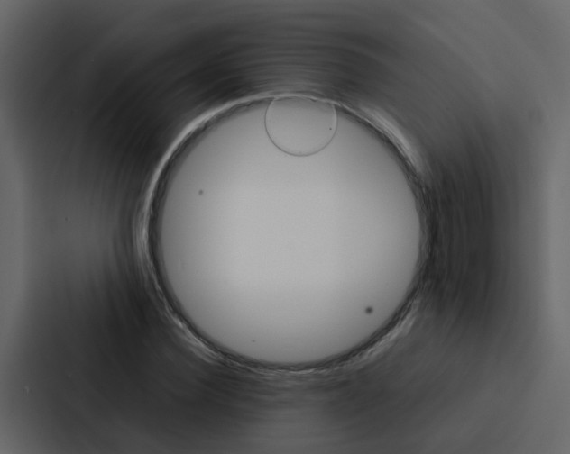 X0000088150924200705141048
