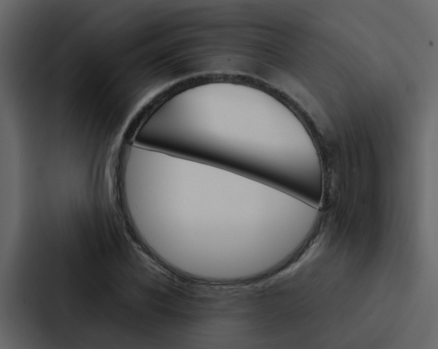 X0000088150926200705141048