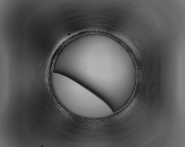 X0000088150927200705141048