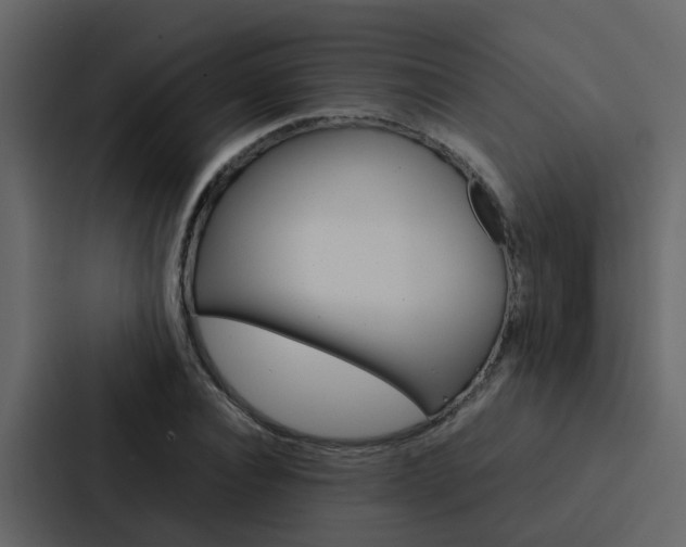 X0000088150928200705141048