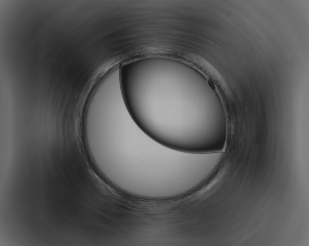 X0000088150930200705141048