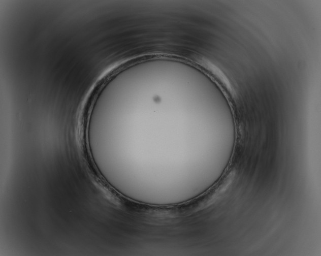 X0000088150931200705141048