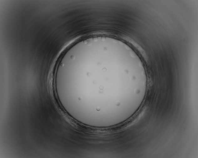 X0000088150933200705141048