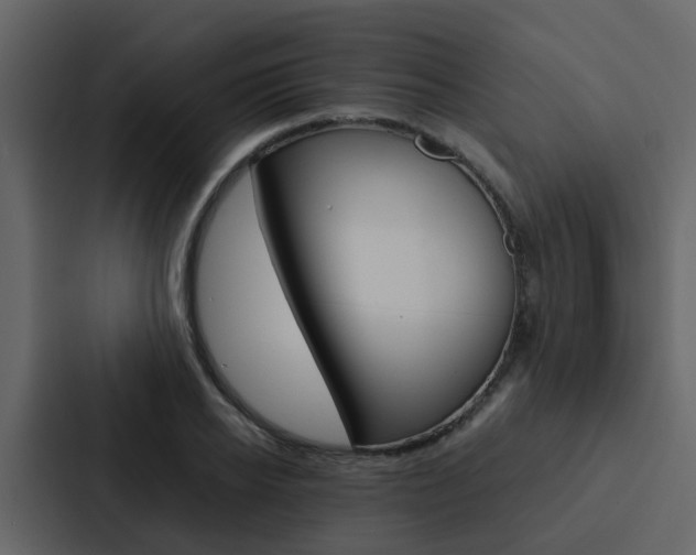 X0000088150934200705141048