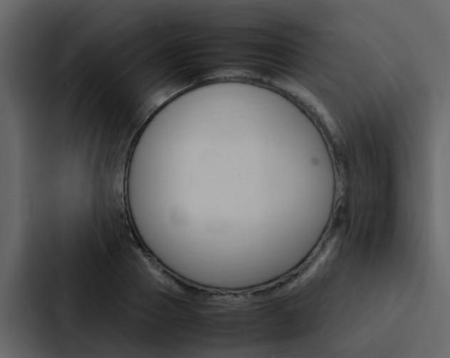 X0000088150937200705141048