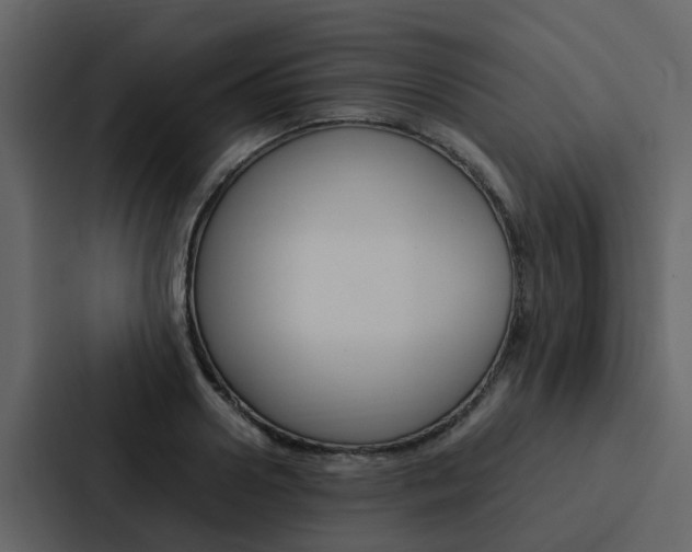 X0000088150938200705141049