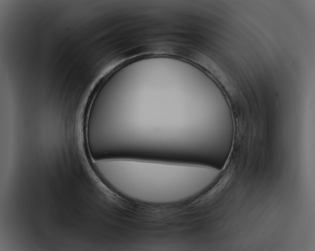 X0000088150939200705141049