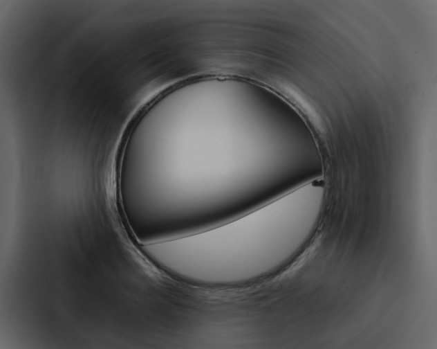 X0000088150940200705141049