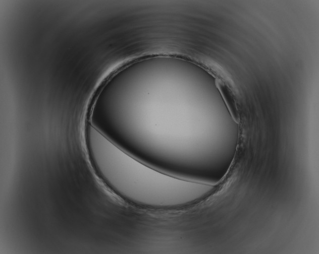 X0000088150942200705141049