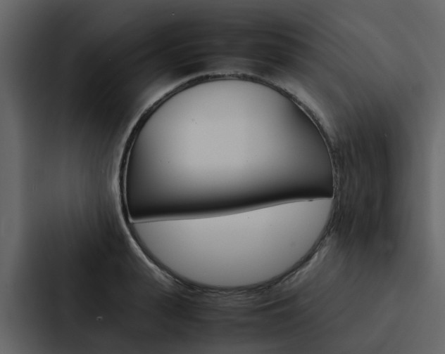 X0000088150943200705141049