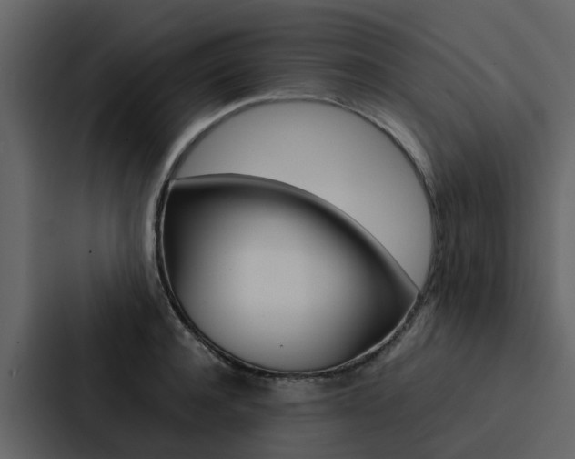 X0000088150944200705141049