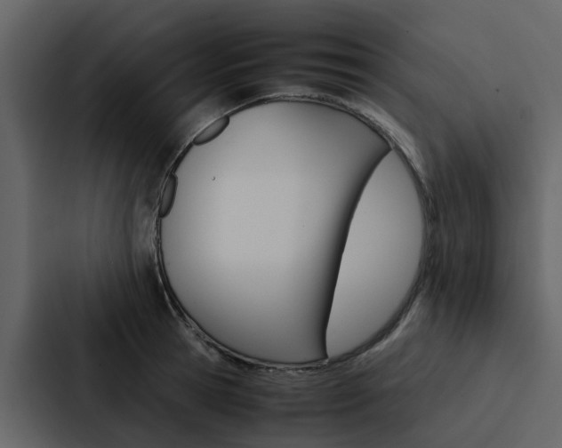 X0000088150945200705141049