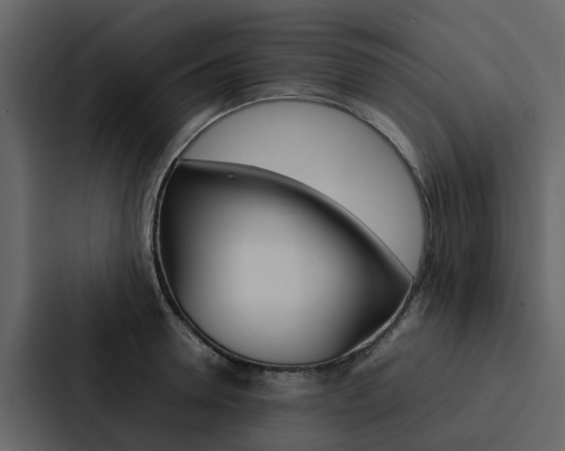 X0000088150946200705141049