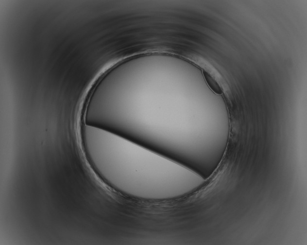 X0000088150947200705141049
