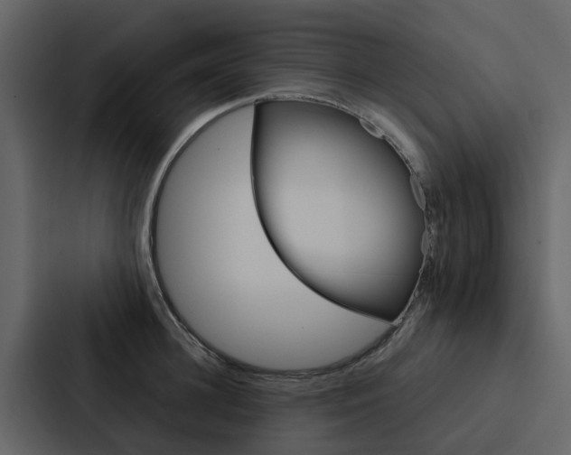 X0000088150948200705141049
