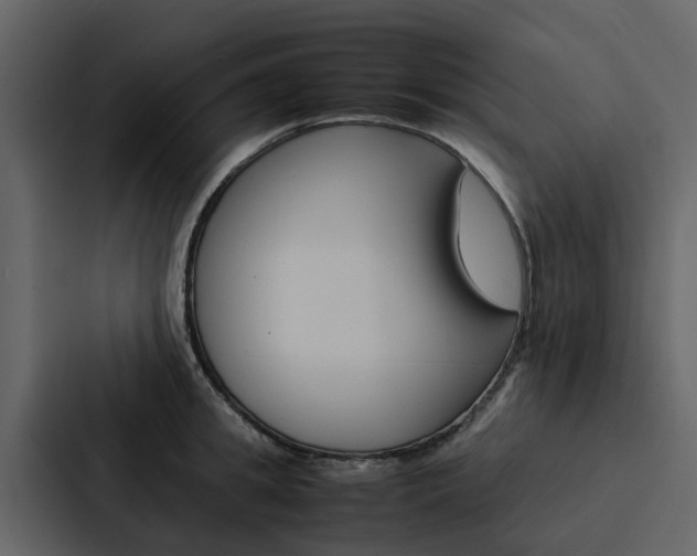 X0000088150949200705141049